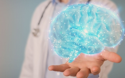 Is It True that Diabetes can Reduce Brain Function?